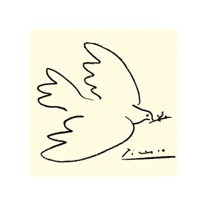 Duva Picasso