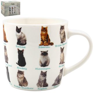 Kattmugg