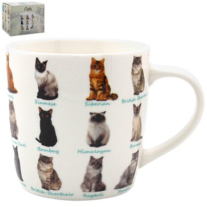 Kattmugg